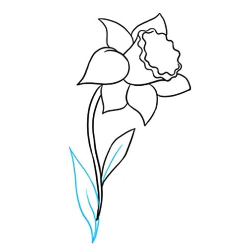 简单十步画出水仙花简笔画步骤图