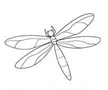 蜻蜓简笔画带颜色