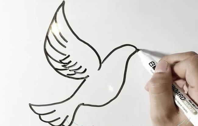 鸽子简笔画 鸽子简笔画图解教程