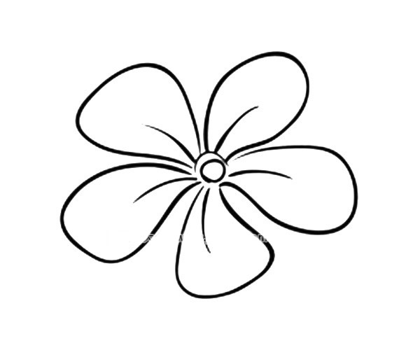 一组简单漂亮的花瓣简笔画图片