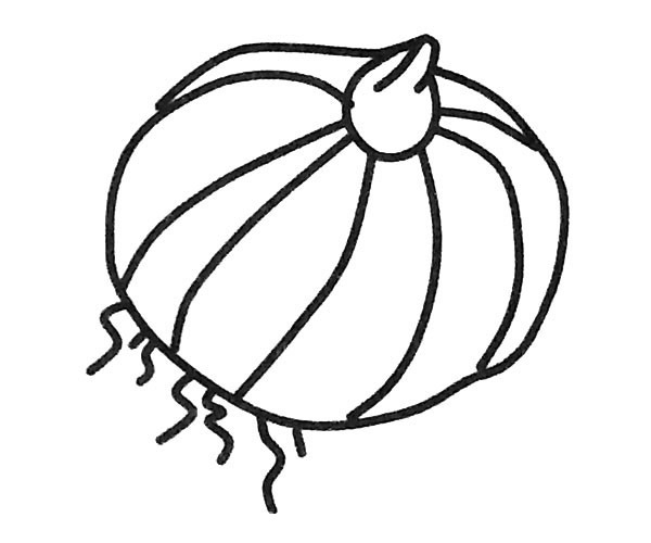 洋葱简笔画图片大全