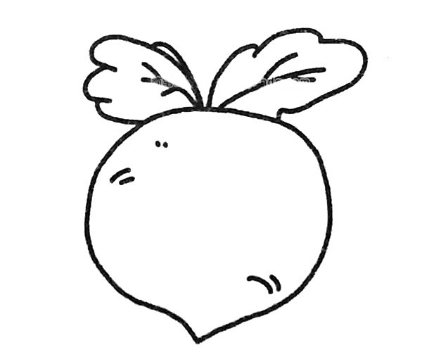 四款萝卜简笔画图片 萝卜的简单画法大全