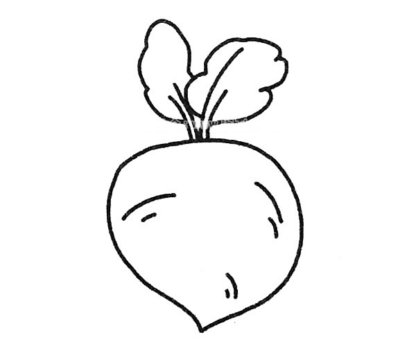 四款萝卜简笔画图片 萝卜的简单画法大全