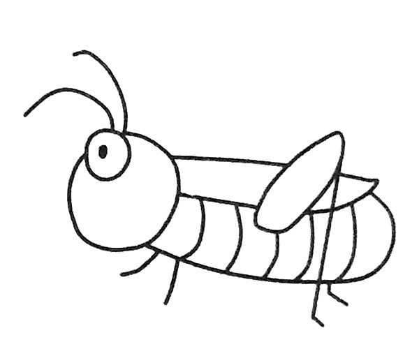 卡通蚱蜢简笔画图片