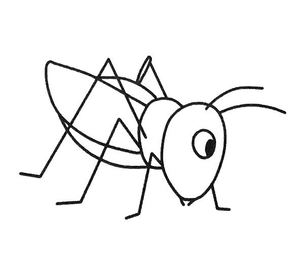 卡通蚱蜢简笔画图片