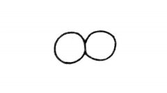 学画苍蝇简笔画步骤教程