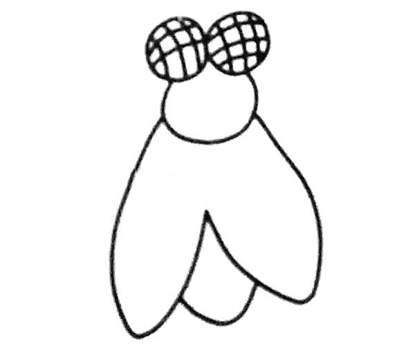 苍蝇简笔画图片