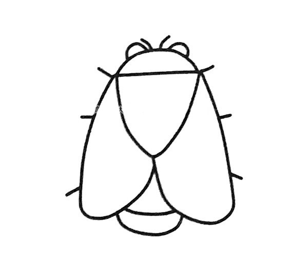 蝉的简笔画图片