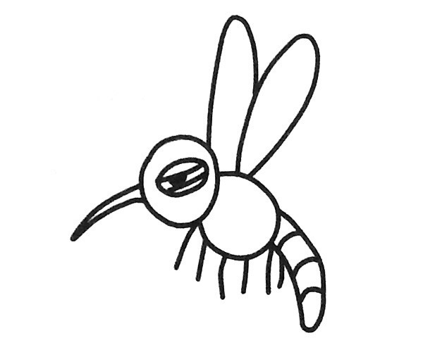 卡通蚊子简笔画图片