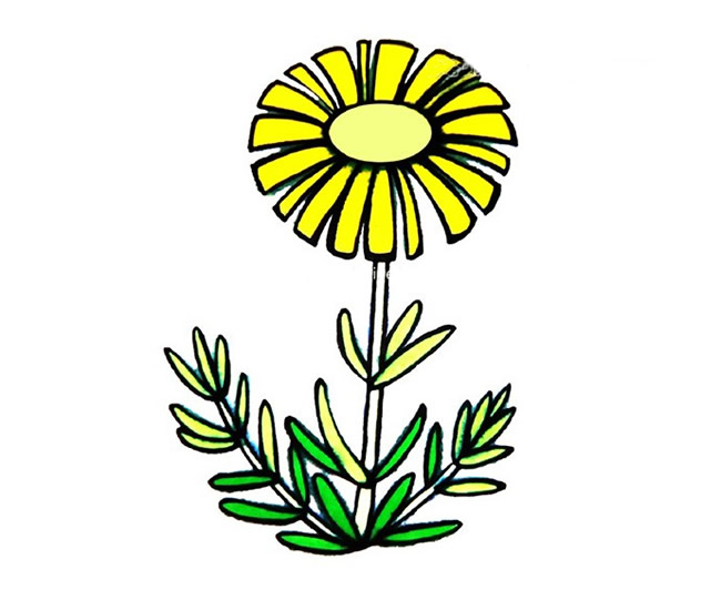 漂亮的雏菊简笔画