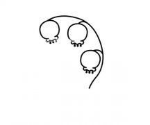 学画铃兰花简笔画步骤图解