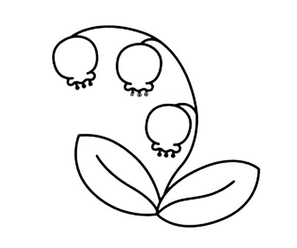 铃兰花简笔画