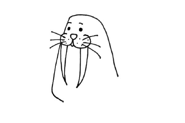 小海象简笔画步骤4