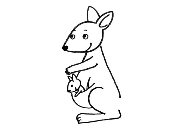 袋鼠简笔画步骤6