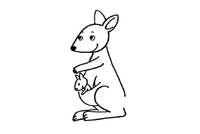 袋鼠简笔画步骤7