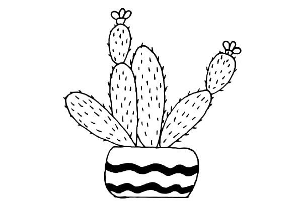 仙人掌盆栽简笔画