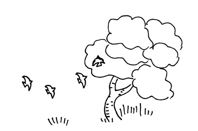 秋天风景简笔画