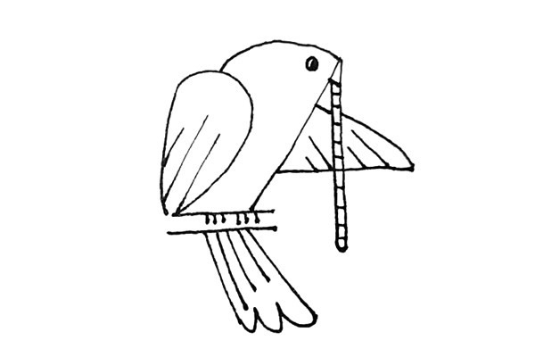 用数字画鸽子简笔画