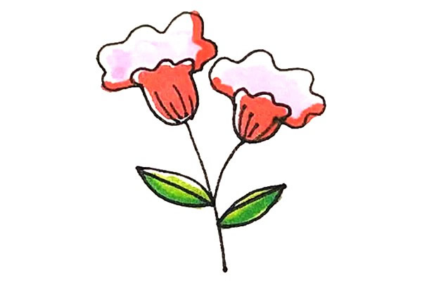 鸡冠花简笔画