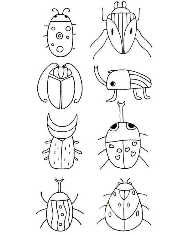 甲虫简笔画步骤画法及图片大全