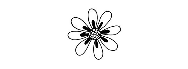 菊花简笔画