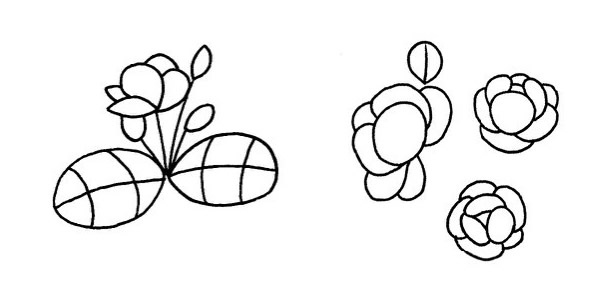 茉莉花简笔画图片大全