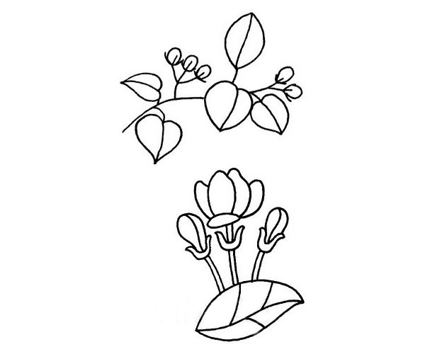 茉莉花简笔画图片大全