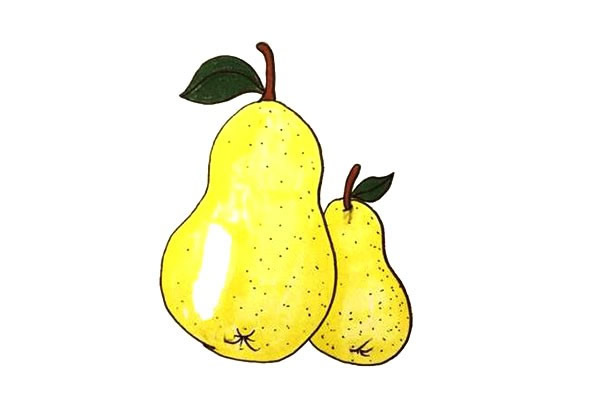 梨的简笔画