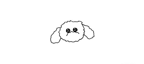 泰迪犬简笔画步骤图