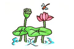 教你画漂亮的荷花简笔画