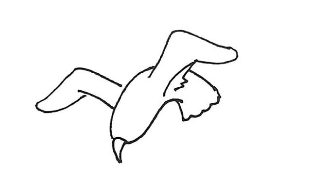 海鸥简笔画