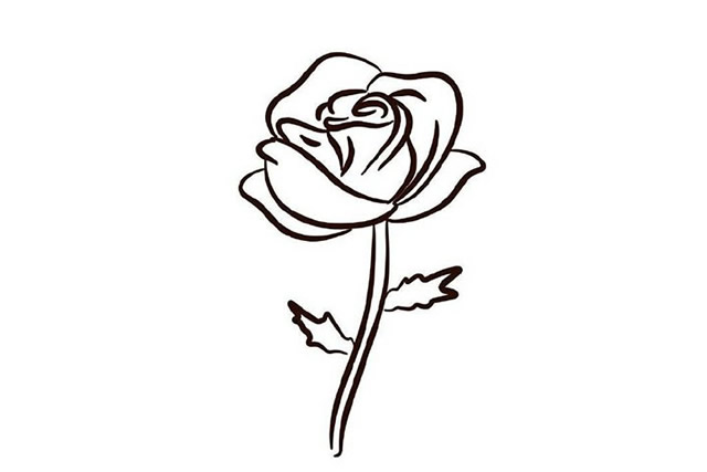 玫瑰花简笔画