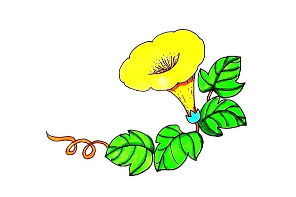 喇叭花简笔画