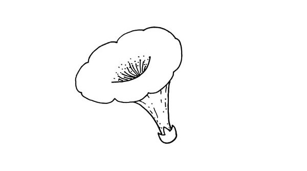 喇叭花简笔画