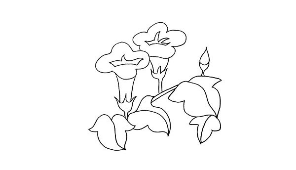牵牛花简笔画