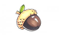 橡果简笔画步骤图解教程