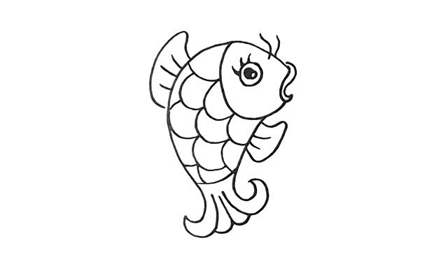 鲤鱼简笔画