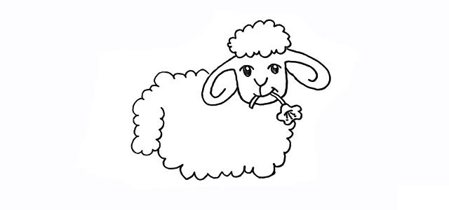 小绵羊简笔画