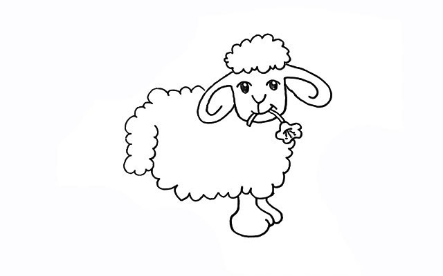 小绵羊简笔画