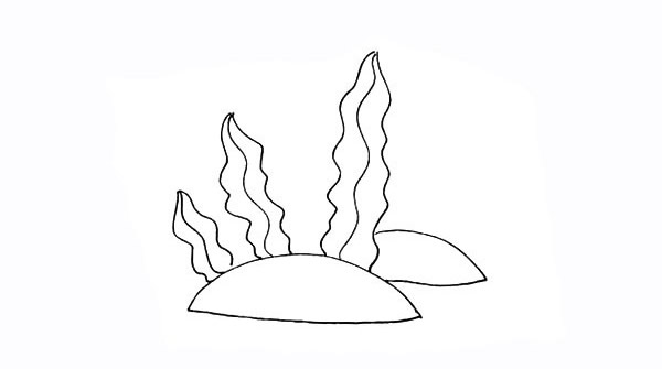 海草简笔画