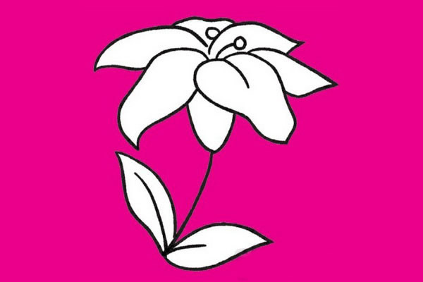 百合简笔画图片