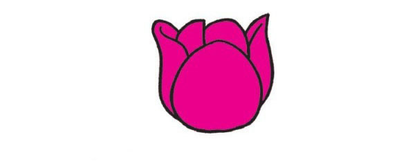 郁金香简笔画图片