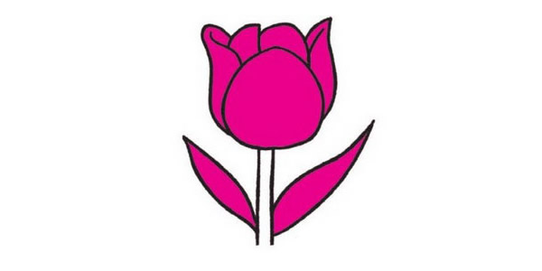 郁金香简笔画图片