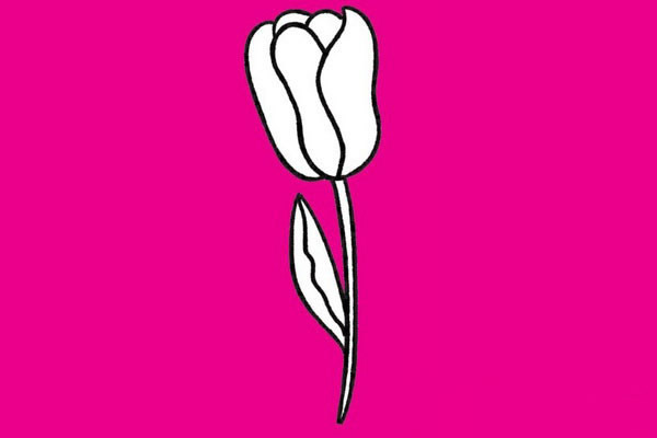 郁金香简笔画图片大全作品一