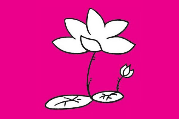 荷花简笔画图片大全作品二