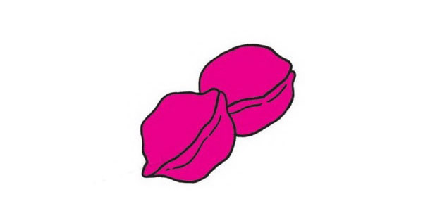 核桃简笔画图片