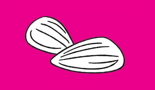 坚果简笔画图片