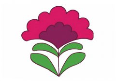 鸡冠花简笔画步骤图解教程及图片大全