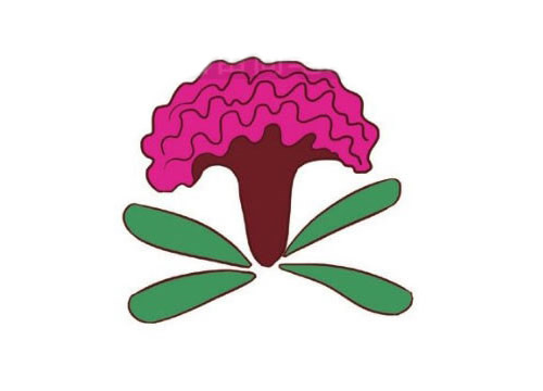 鸡冠花简笔画图片大全作品三