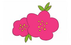 海棠花简笔画步骤图解教程及图片大全